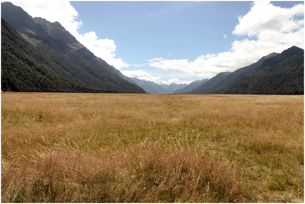 05 - Milford Sound (00).jpg